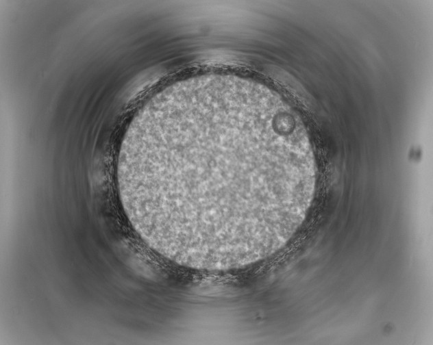 X0000098170824200805221513