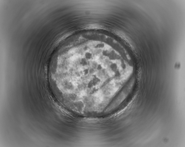 X0000098170825200805221513