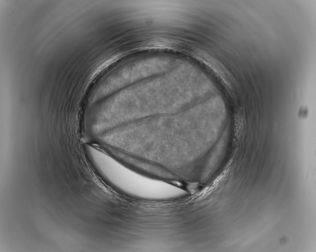 X0000098170826200805221513