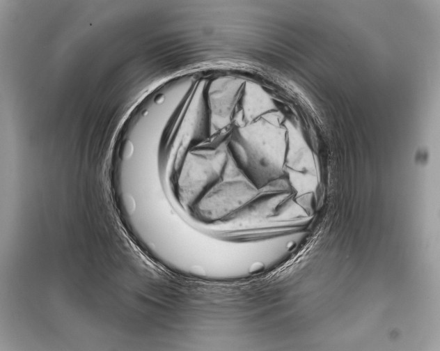 X0000098170828200805221513