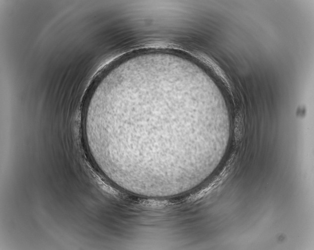 X0000098170831200805221513