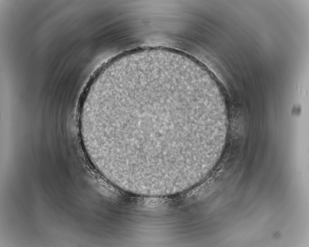 X0000098170832200805221513