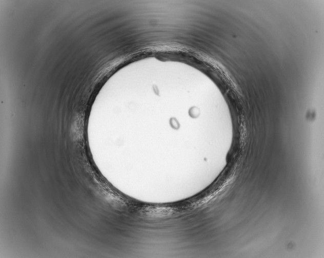 X0000098170833200805221513