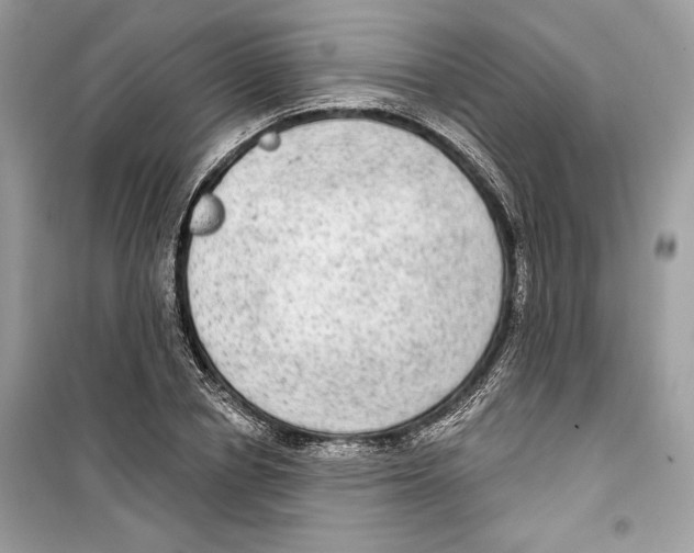 X0000098170834200805221513