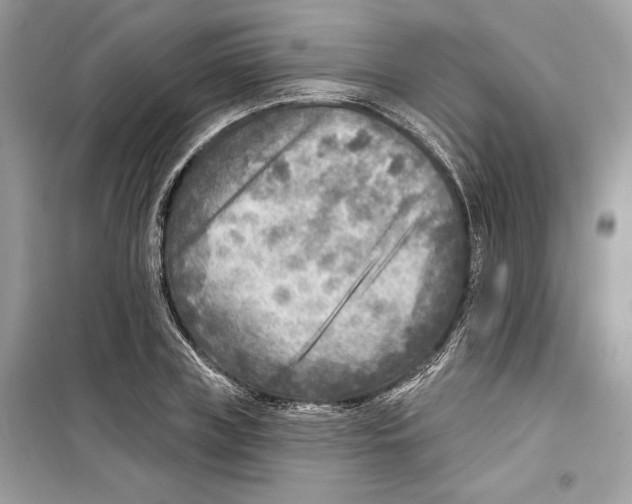 X0000098170835200805221513