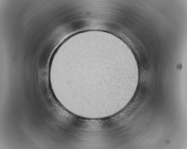 X0000098170836200805221513