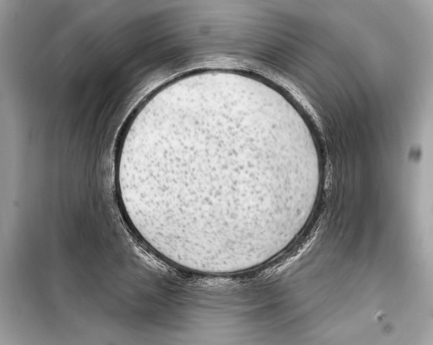 X0000098170837200805221513