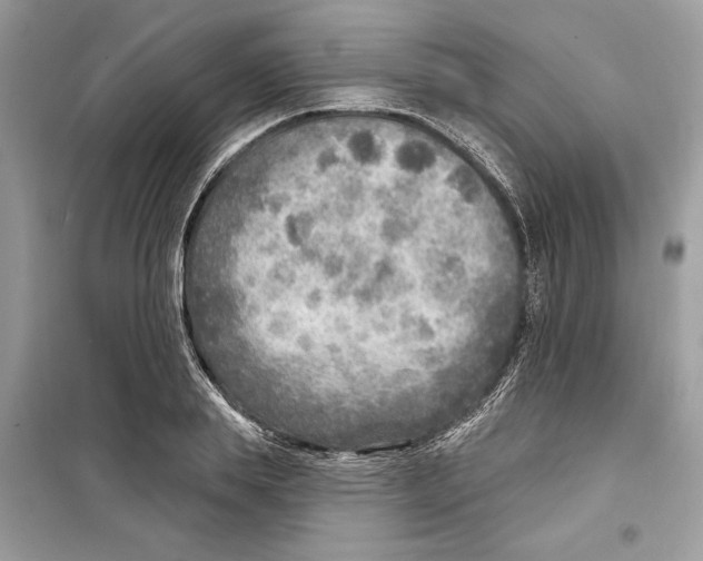 X0000098170839200805221513