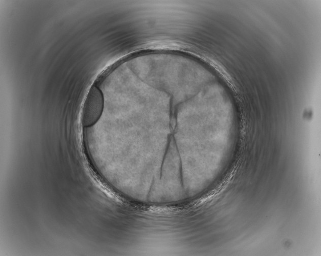 X0000098170840200805221513