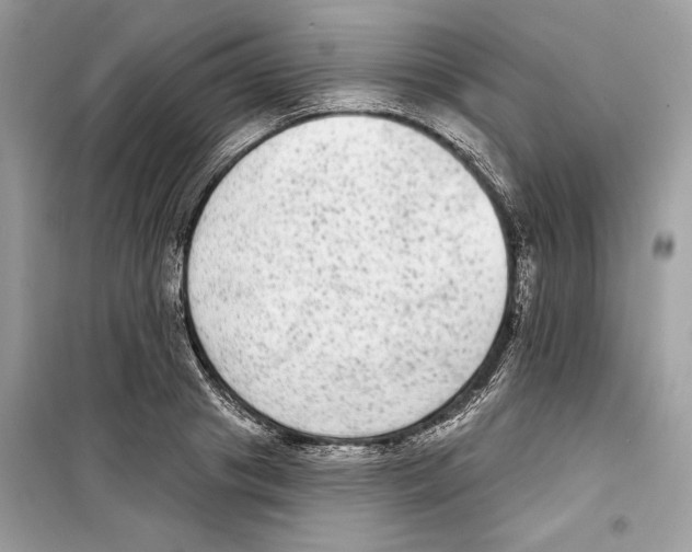 X0000098170841200805221513