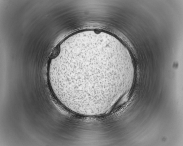 X0000098170842200805221513