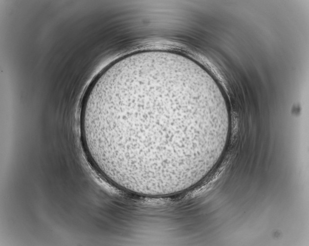 X0000098170843200805221513