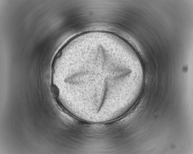 X0000098170844200805221513