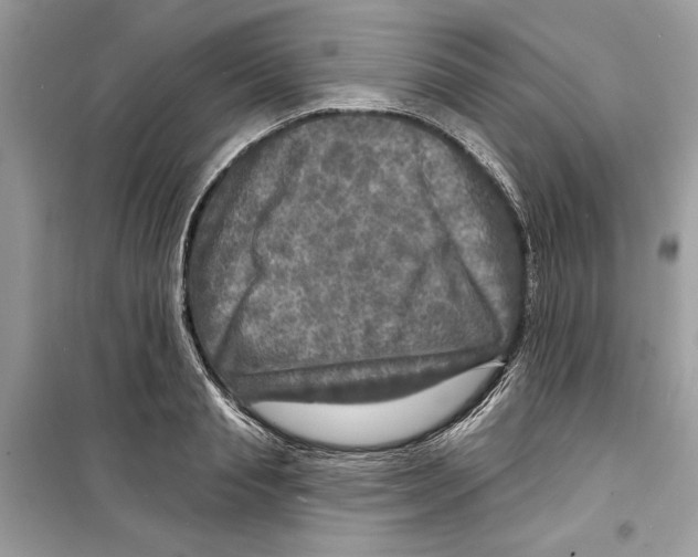 X0000098170845200805221513