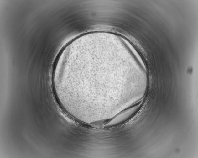 X0000098170846200805221513