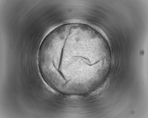 X0000098170847200805221513