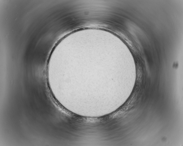 X0000098170848200805221513