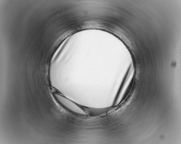 X0000098170849200805221513