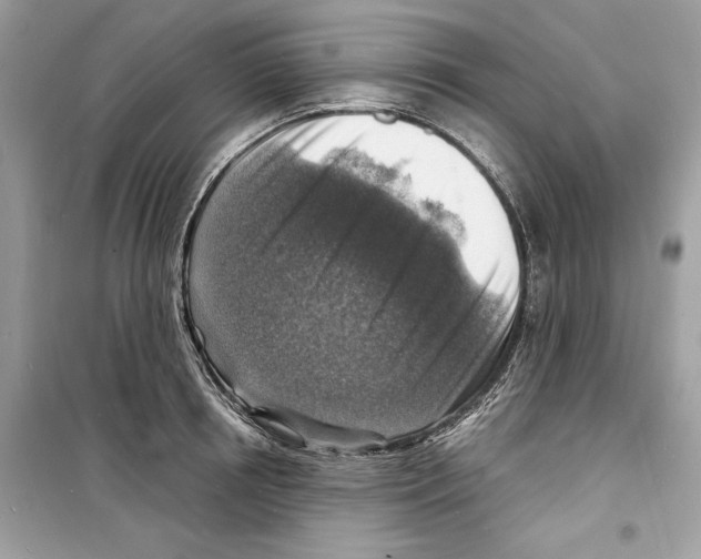 X0000098170850200805221513