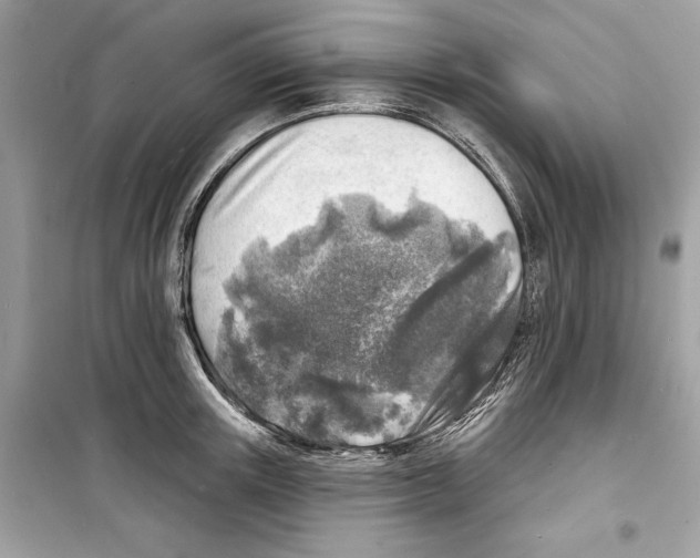 X0000098170851200805221513