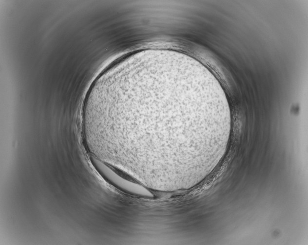 X0000098170852200805221513