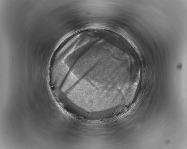 X0000098170853200805221513