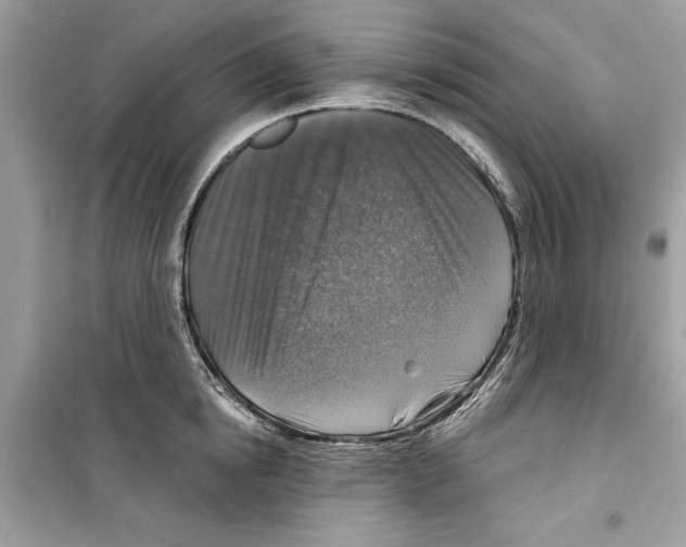 X0000098170854200805221513