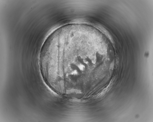 X0000098170855200805221513