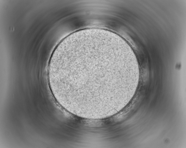 X0000098170856200805221513