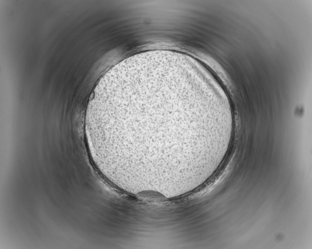 X0000098170857200805221514