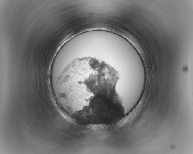 X0000098170858200805221514