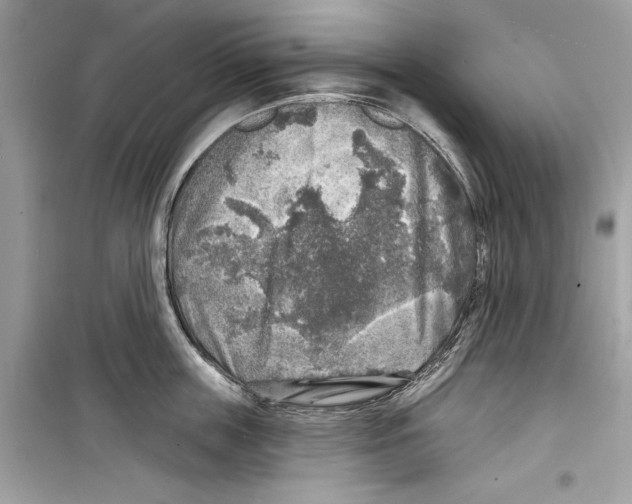 X0000098170859200805221514