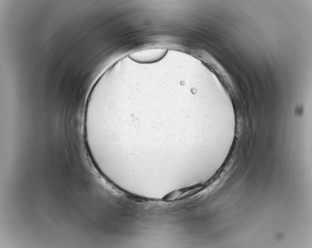 X0000098170860200805221514