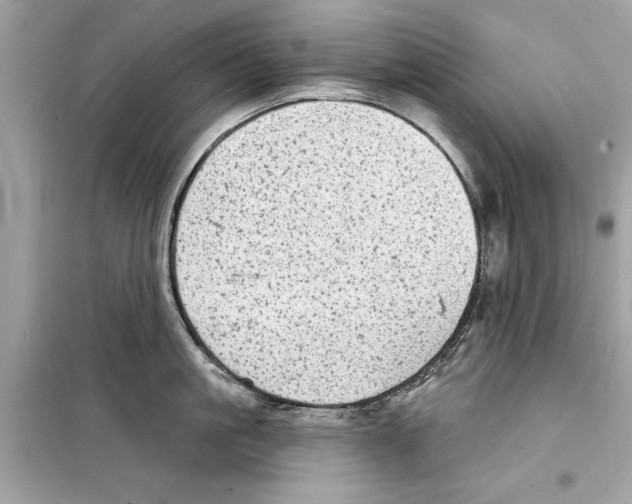 X0000098170861200805221514