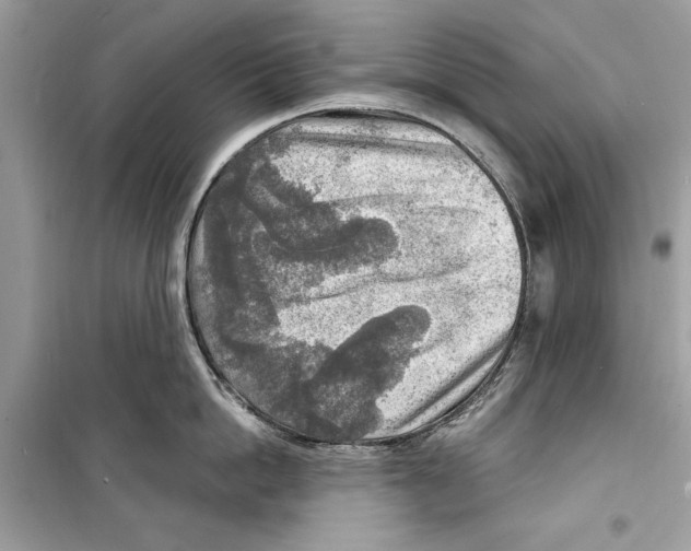 X0000098170862200805221514