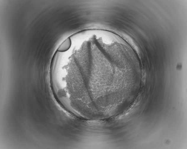 X0000098170863200805221514