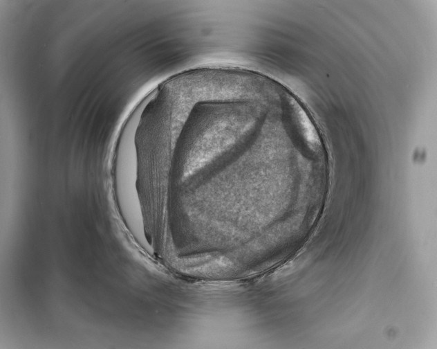 X0000098170864200805221514