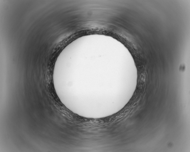 X0000098170869200805221513