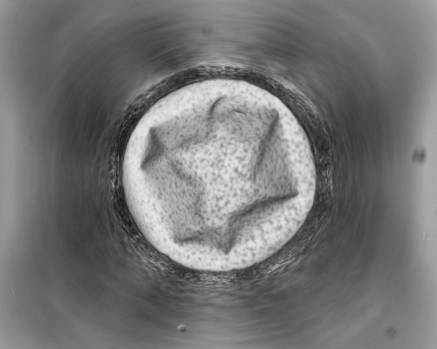 X0000098170870200805221513