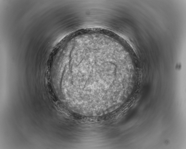 X0000098170871200805221513