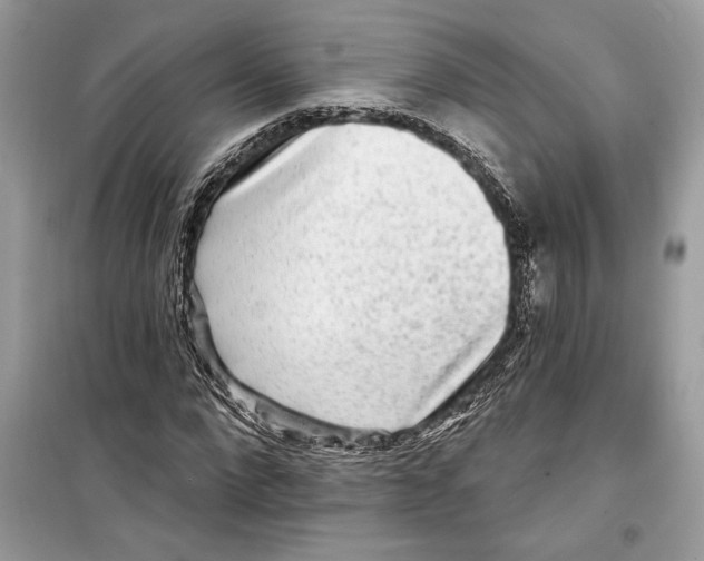 X0000098170872200805221513