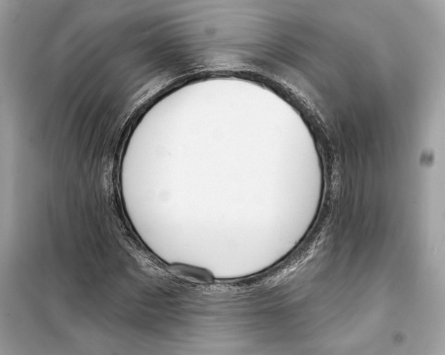 X0000098170873200805221513