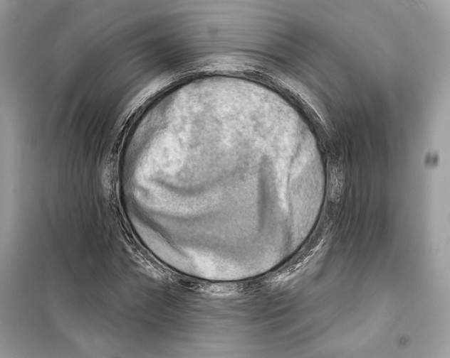 X0000098170874200805221513