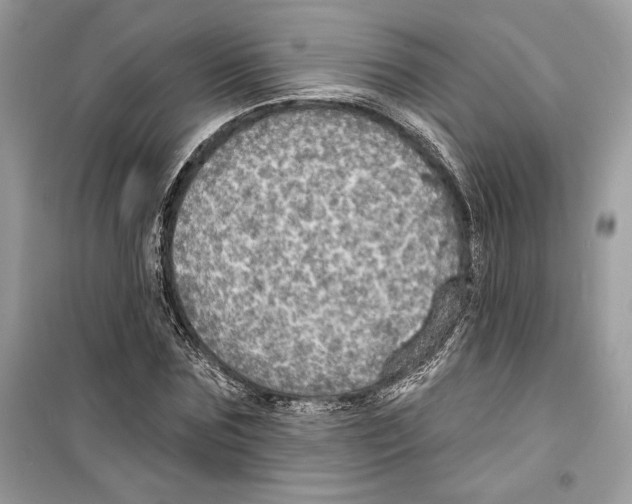 X0000098170875200805221513