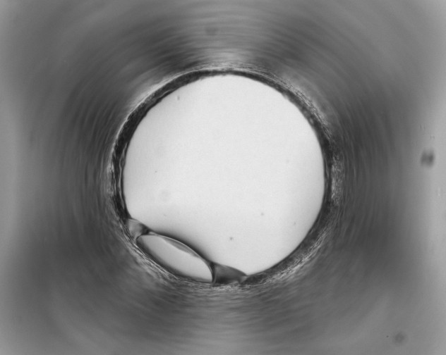 X0000098170876200805221513