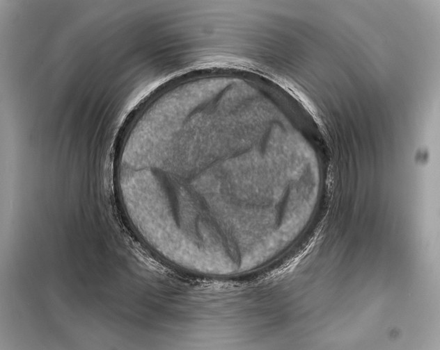 X0000098170877200805221513