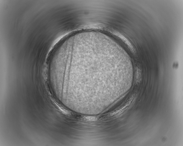 X0000098170878200805221513