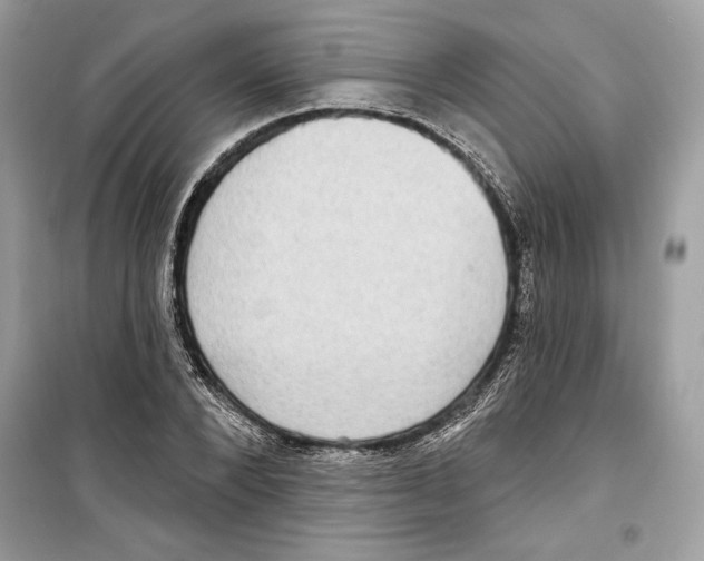 X0000098170880200805221513