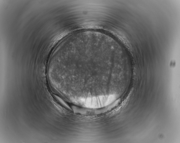 X0000098170881200805221513