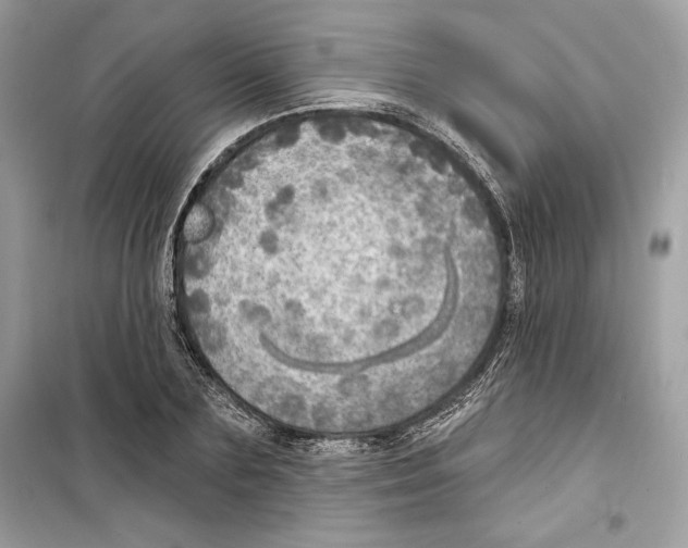 X0000098170883200805221513